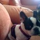 mi panchi