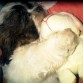 Su peluche favorito
