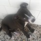 nana con 3 mesecillos,que rapido crecen 