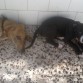A la sombrita