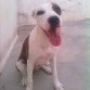 5 meses