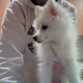 casi 4 meses