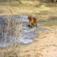 Corriendo en el hielo, le encanta, hacia 1º de temperatura.