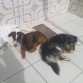 Durmiendo