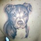 este es el tatoo q tengo de mi noa con cinco meses y me tengo q acer el del ximo me lo ice el verano pasado