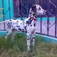 aqui esta en el jardin de la casa