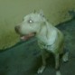 6 meses