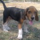 De paseo en el parque