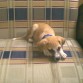 Estoy descansando