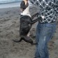 Noa jugando 