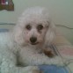 COFFE CON SU CARA DE YO NO FUI