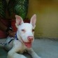 Recien llegado a casa :)