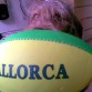 TRIBILIN Y MALLORCA