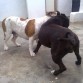 JuuganDOo