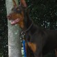 mi monstruo de 10 meses! =)