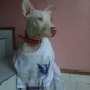 Dia de Cruda :S
