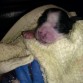 hermosoo