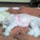 DESCANSANDO