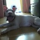 Sonrisa Colgate :D