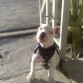 sin paparazzoOzZ......
