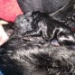 primera y segunda!! La negrita es igualita a su mami!
