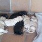 Los peques con pocos dias. 