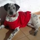 con casi 5 meses