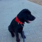 Aqui con 3 meses jaja sin palbras me deja jaja que recuerdoss!! perdonad e ldesorden de las fotos jajaja