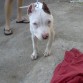 4 meses!! :-)