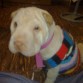 Astrid (2 meses)