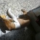 aqui tomando el sol mientras se come un trusco de pan