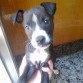 nana,que mona^^