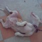 5 meses 
Soy macho =)