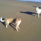 Jugando en una de las playas del País Vasco