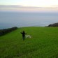 Disfrutando de la naturaleza y de su libertad