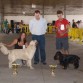 1 premio grupo VIII Mejor Raza Guia de Isora