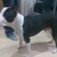 7 meses y medio