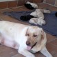 Toda una madraza..