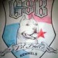 logo de gsb kennel panama