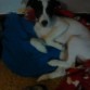 Con 3 meses y medio