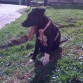 TAYS 4 MESES