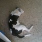 Durmiendo , cosa que me gusta mucho hacer ^^