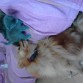 es todo un padrazo y eso k aun no a sido padre...mirar como limpia a mi gatito XDD