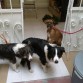 con 2 amigos antes de ir a  jugar :)