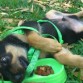 De bebe era un bicho! Me peleaba con los cisnes en Guardamar (no veas la mala leche que tienen)..