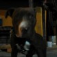 kiimbo 4 meses