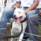 ROCKO 
YULDOR X MEDUSA