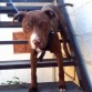 kiimbo 4 meses!