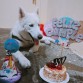 su cumpleaños Numero 1