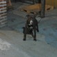 kiimbo 3 1/2 meses
